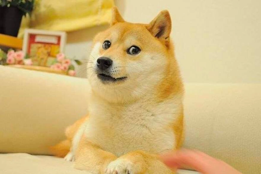 Doge